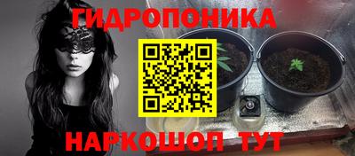 прущая мука Кимры