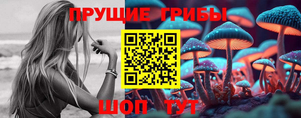 Псилоцибиновые грибы Cubensis Шелехов